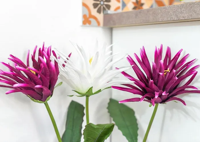 Vintage House Al Pozzo 아파트호텔