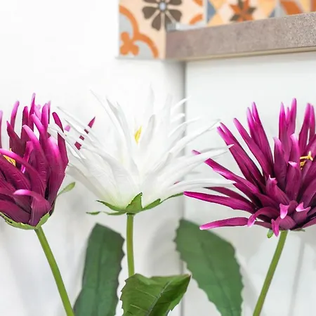 Vintage House Al Pozzo Apartmanhotel