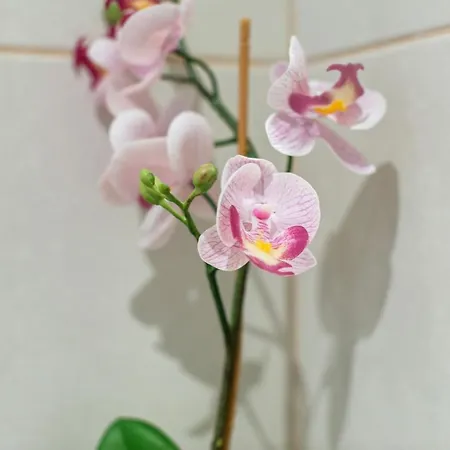 Aparthotel Vintage House Al Pozzo 4*